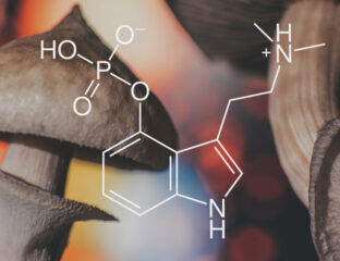 The Chemical Myth